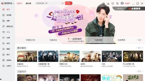 搜狐影音下载视频