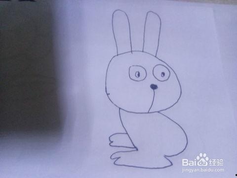 兔子怎么画视频,轻松绘制可爱兔子步骤解析