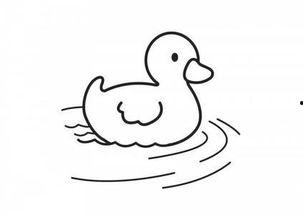 国画鸭子的画法视频,轻松掌握传统水墨鸭画技巧