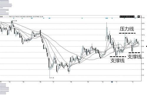 证券投资分析视频,视频精华解读与策略提炼