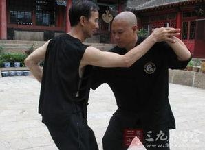太极推手视频大全,视频大全中的实战技巧与养生之道