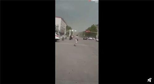 邯郸天气视频,春意盎然，暖阳映照古城