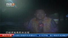 妮妲视频,揭秘神秘生物的神秘面纱